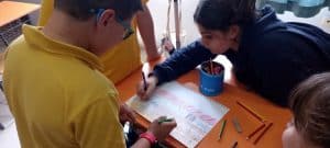 20230516_113217208_iOS