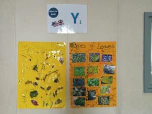 Plants is the word! (9)