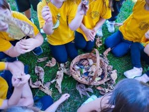 Γνωρίζω το φθινόπωρο (18)
