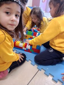 Houses and homes(10)