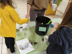 Planting Seeds of Education(7)