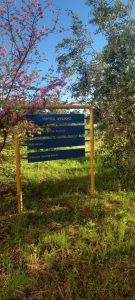 Το Γυμνάσιο πάει … Πανεπιστήμιο(11)