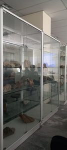 Το Γυμνάσιο πάει … Πανεπιστήμιο(12)