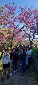 Το Γυμνάσιο πάει … Πανεπιστήμιο(8)