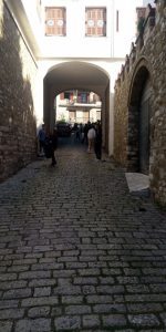 Σχολικός περίπατος για τους μαθητέςτριες της Α΄ Λυκείου (4)