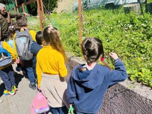 Για…“Ένα τσαμπί Σταφύλι”…(10)