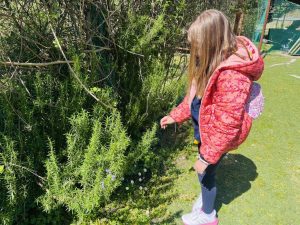 Για…“Ένα τσαμπί Σταφύλι”…(11)