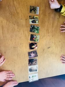 Για…“Ένα τσαμπί Σταφύλι”…(6)