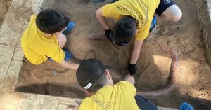 Πάμε ανασκαφή; (2)