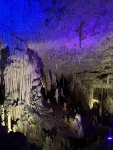 Ημερήσια εκδρομή στα Ιωάννινα(3)