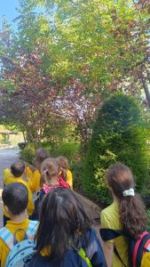 Ολυμπιακοί Αγώνες(1)