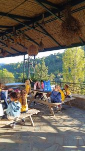 Ολυμπιακοί Αγώνες(6)