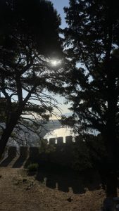 Ας περιπλανηθούμε στον τόπο μας (5)