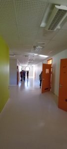 Άσκηση προσομοίωσης σεισμού(2)