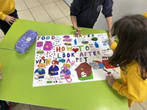 Caring for Animals, One Paw at a Time!(3)