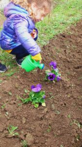 Δίνω χρώμα στην αυλή μου, χρωματίζω την αυλή μου!(1)
