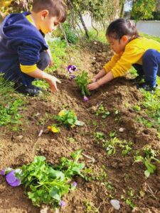 Δίνω χρώμα στην αυλή μου, χρωματίζω την αυλή μου!(10)