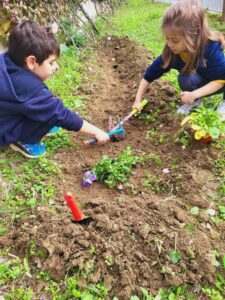Δίνω χρώμα στην αυλή μου, χρωματίζω την αυλή μου!(11)