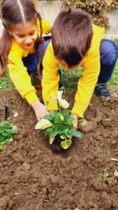 Δίνω χρώμα στην αυλή μου, χρωματίζω την αυλή μου!(2)