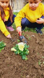 Δίνω χρώμα στην αυλή μου, χρωματίζω την αυλή μου!(3)