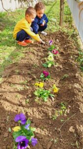 Δίνω χρώμα στην αυλή μου, χρωματίζω την αυλή μου!(4)