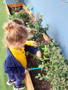 Δίνω χρώμα στην αυλή μου, χρωματίζω την αυλή μου!(6)