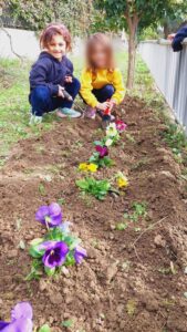 Δίνω χρώμα στην αυλή μου, χρωματίζω την αυλή μου!(7)