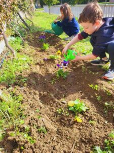 Δίνω χρώμα στην αυλή μου, χρωματίζω την αυλή μου!(8)