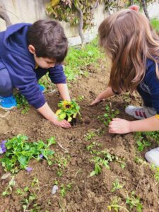 Δίνω χρώμα στην αυλή μου, χρωματίζω την αυλή μου!(9)