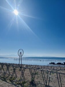 Από το Μουσείο Άλατος ως τον Κήπο των Ηρώων!(1)