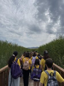 Μικροί και μικρές ντετέκτιβς(12)