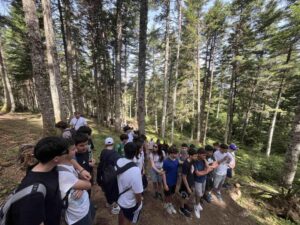 Ανακαλύπτοντας τη φύση(19)