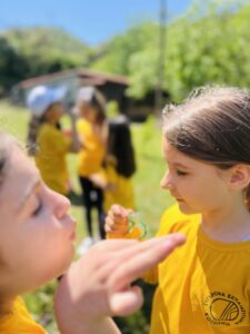 Ανακαλύπτοντας τις Ιδιότητες(10)