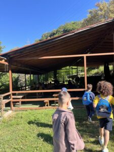 Ανακαλύπτοντας τις Ιδιότητες(2)