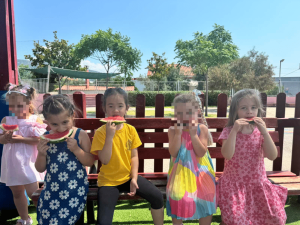 Μια χρονιά σαν καλοκαίρι!(13)