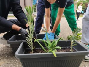 Φύτευση Βολβών