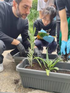 Φύτευση Βολβών
