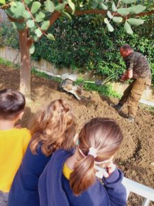 Χελιδόνι πέταξε