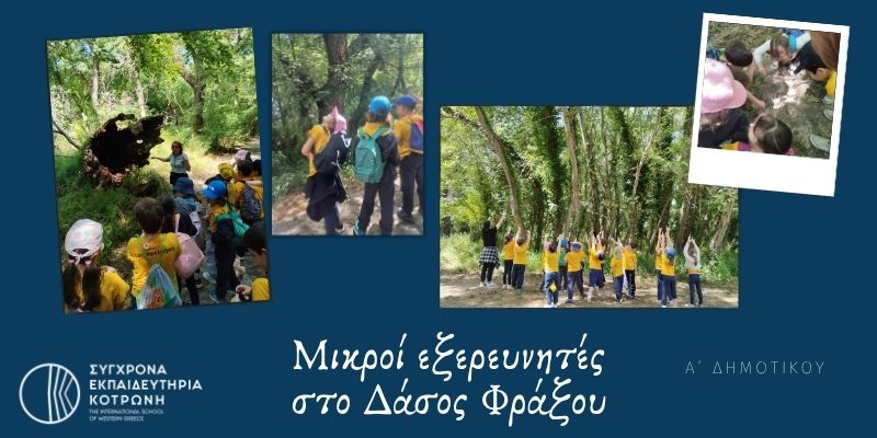 Δάσος Φράξου