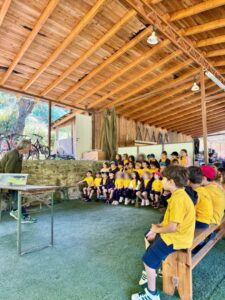 Στα ιχνη του δασους